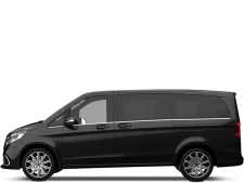 2019  2024