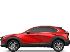 2019  2024
